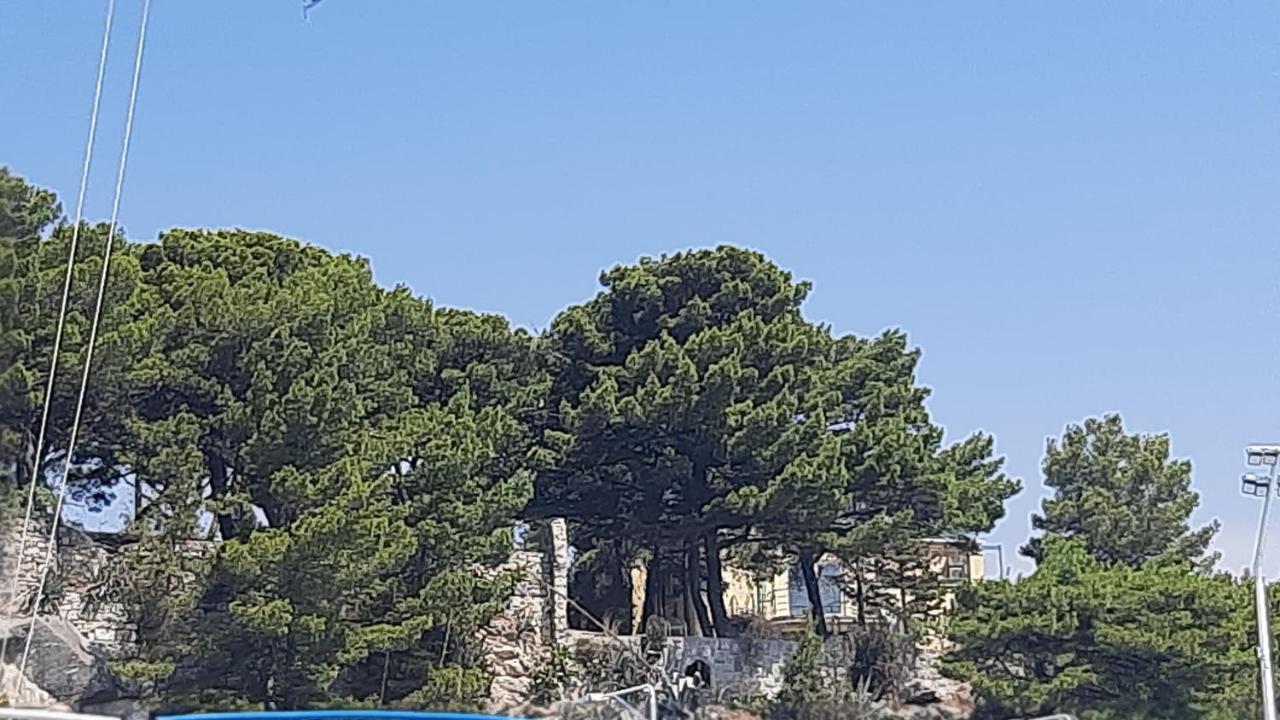 Old Captain'S Apartments - In A Pine Wood By The Sea And Tennis Courts Split Exterior photo